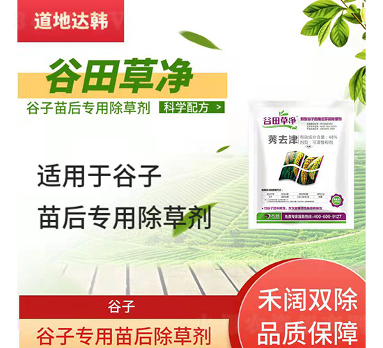 ���ӌ��������݄�-����݃�-�����_�n