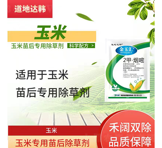 ���׌��������݄�-����R-�����_(d��)�n