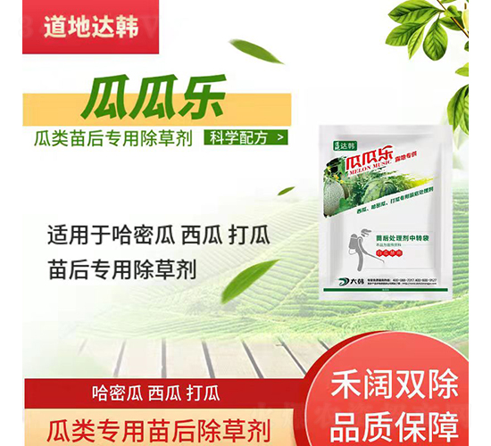 ����������݄�-�ϹϘ�(l��)-�����_(d��)�n