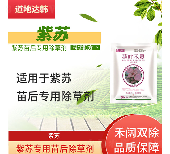 ���K���������݄�-�����_(d��)�n