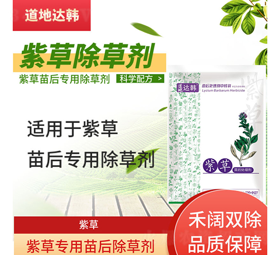 �ϲ݌��������݄�-�����_(d��)�n