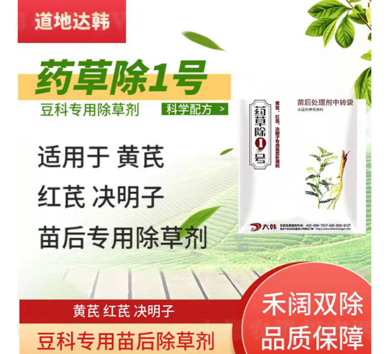 ���ƌ��������݄�-ˎ�ݳ�1̖-�����_�n