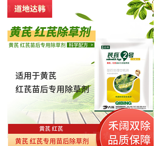 �S�μt�Ό��������݄�-�α�2̖-�����_�n