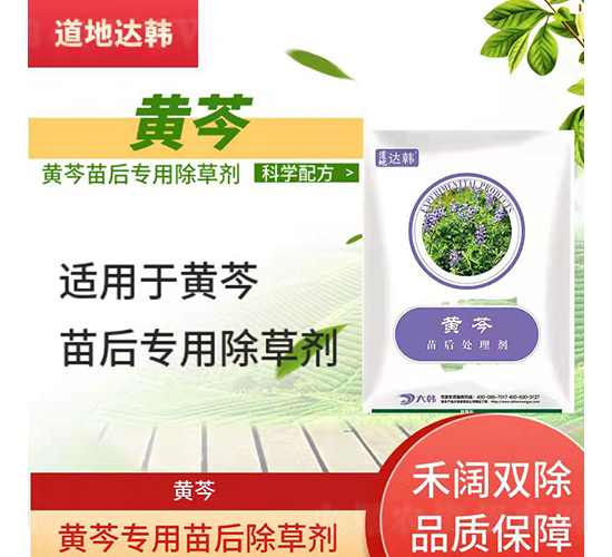 �S�ˌ��������݄�-�����_�n