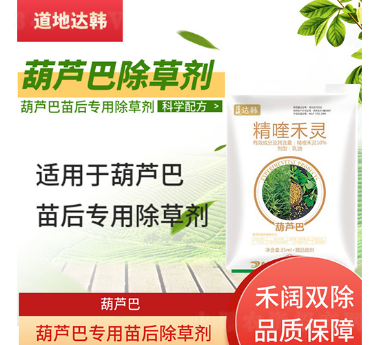 ���J�͌��������݄�-�����_�n