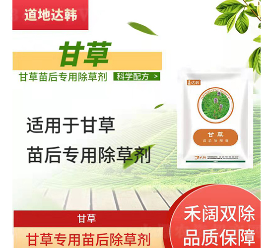 �ʲ݌��������݄�-�����_�n