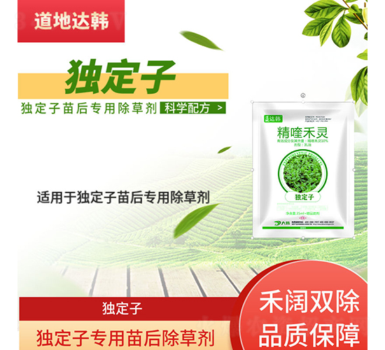 ��(d��)���ӌ��������݄�-�����_(d��)�n