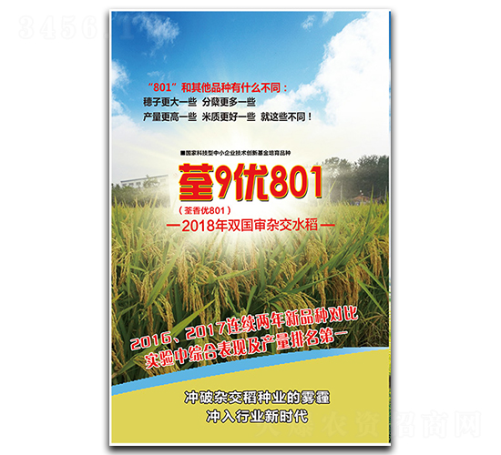 荃9優(yōu)801-水稻種子-荃銀欣隆