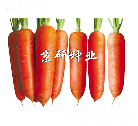 �A�u(y��)208-���}���N��-����