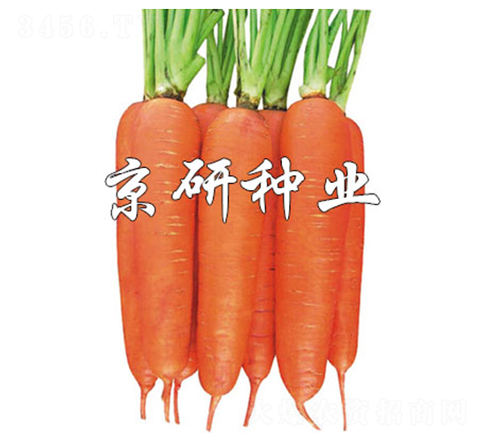 �A�u(y��)258-���}���N��-����