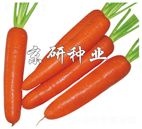 �A�u268-���}���N��-����