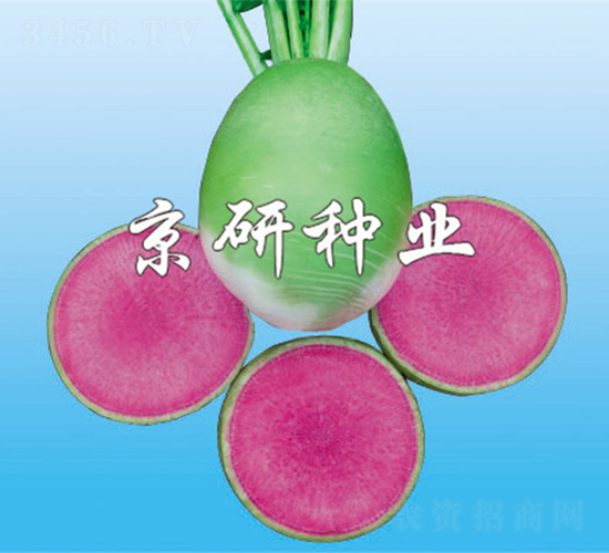 ����2̖(h��o)-�}���N��-����