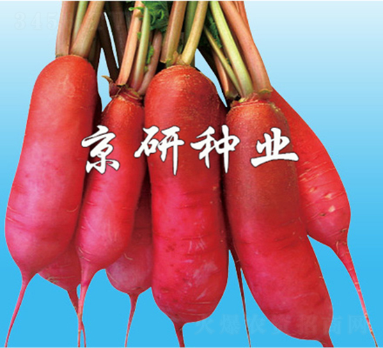 ����ˮ�}��-�}���N��-����