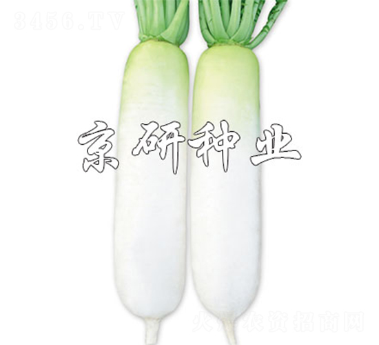 ��������-�}���N��-����