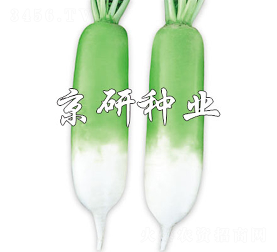 ���оG��-�}���N��-����