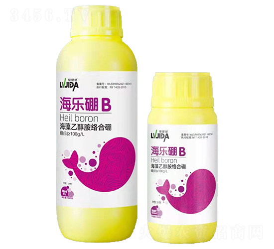 �����Ҵ����j(lu��)����-������B(y��ng)-�_��������