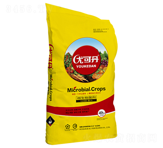 40kg΢�������-�ȿɵ�-�G�󻯹�