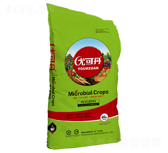 �ЙC����-�ȿɵ�-�G�󻯹�