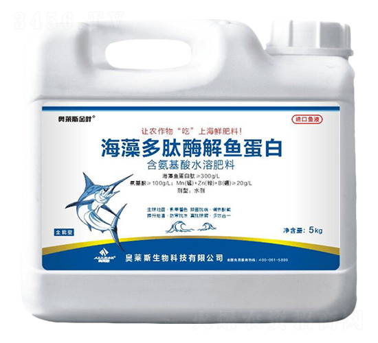 �������ø���~����-�W�R˹