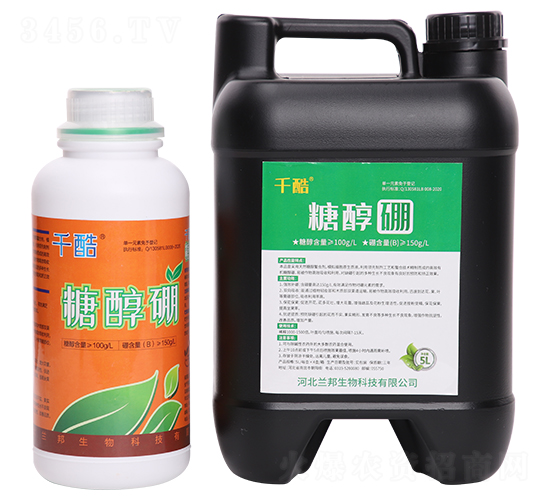 �Ǵ���-ǧ��-�m������