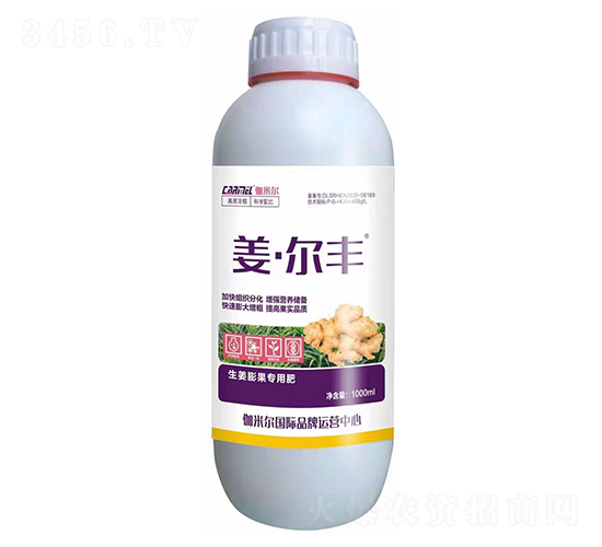 ����������÷�-�������S-ľ�̼ь�