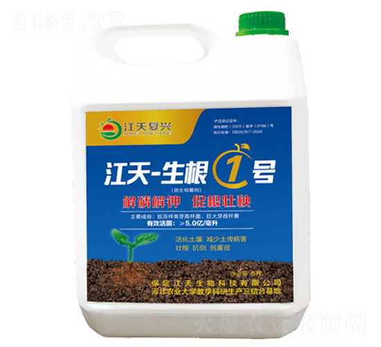 5L΢�������-����-����1̖(h��o)