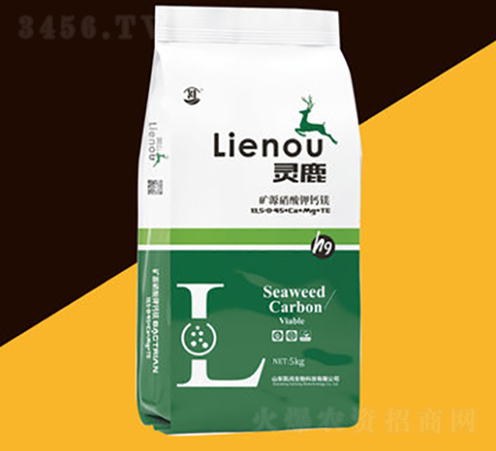 �VԴ������}�V-�`¹-�P������