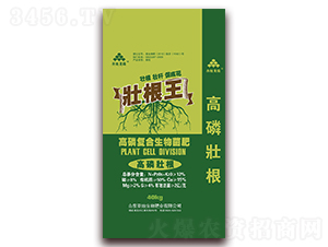 ���׏�(f��)���������-�Ѹ���-ʥ������