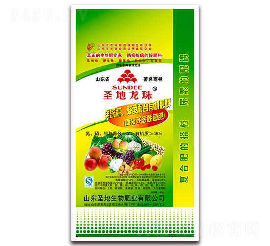 �����������A�}�ЙC����-ʥ������