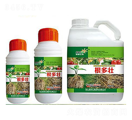 ������+����-���a����