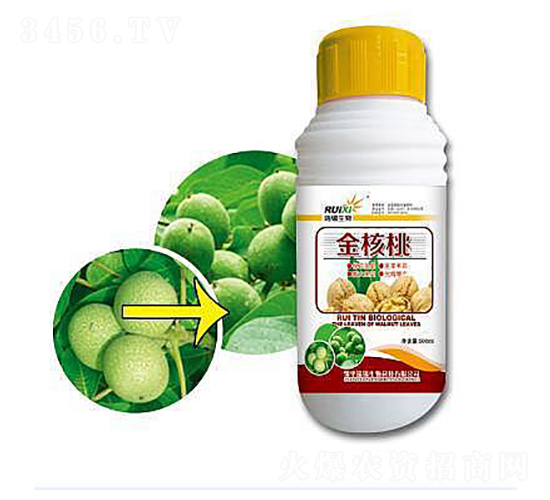 �����-���a����