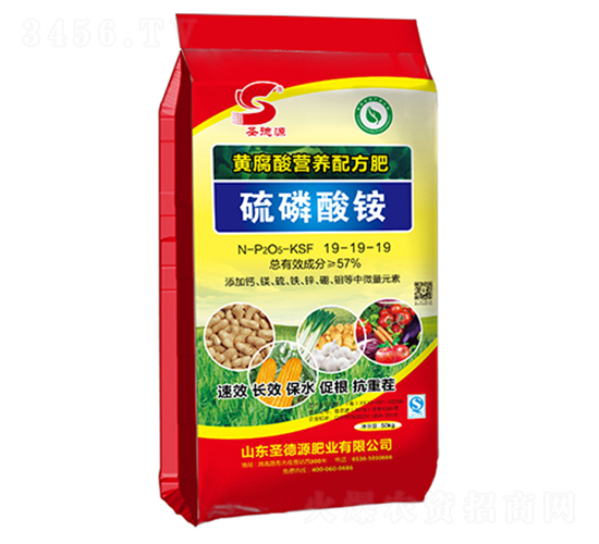 �������@19-19-19-ʥ��Դ