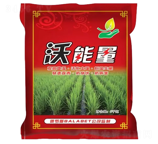 ������-���S�α�