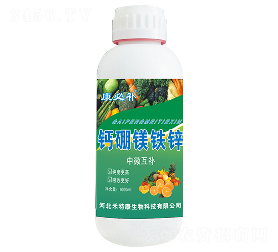 �}���V�F�\-�����a-���ؿ�