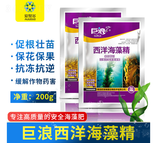 �����徫������-����-�۾۶�