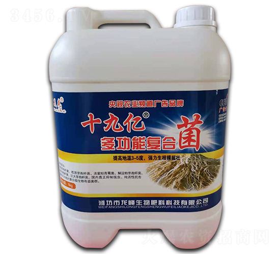 ʮ�Ń|�๦�܏ͺϾ�-������-��������