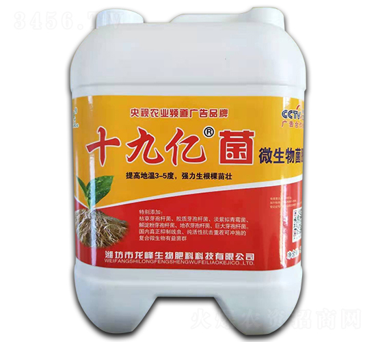 ʮ�Ń|��΢�������-������-��������