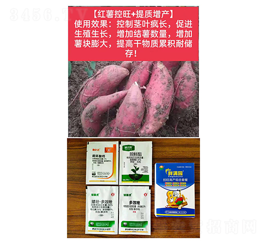 ���t������+���|(zh��)���a(ch��n)��-�֝M�@-�Z�M��