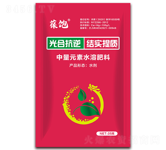 ��Ͽ���Y(ji��)�����|(zh��)-���-�����r(n��ng)��