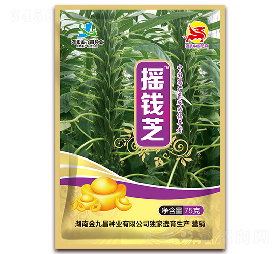 搖錢(qián)芝-芝麻種子-金九昌