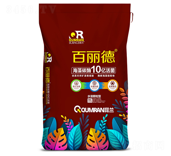 ������-����̼ø10�|���-���m�Ƽ�