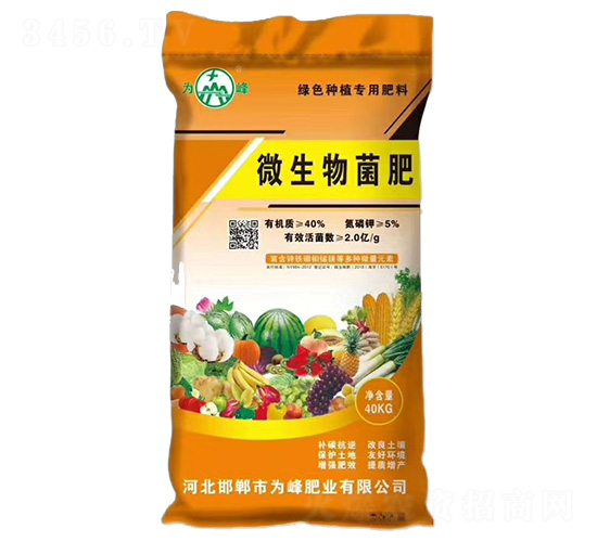 ΢�������-���ʘI(y��)