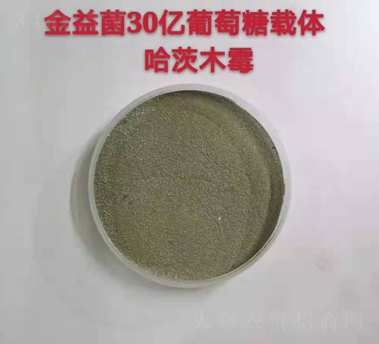 30�|�������d�w����ľù-�����-��ɽ΢����