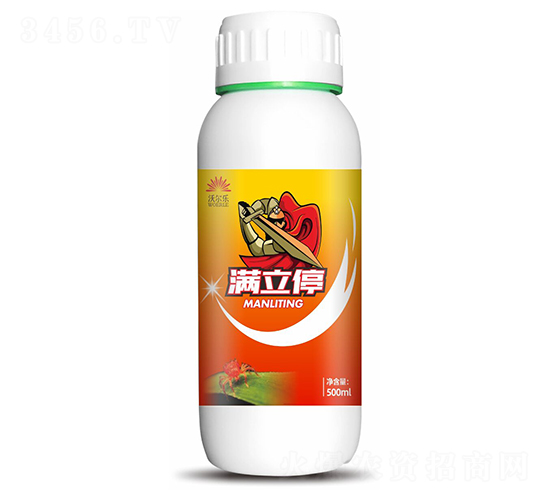 �M��ͣ-�֠���