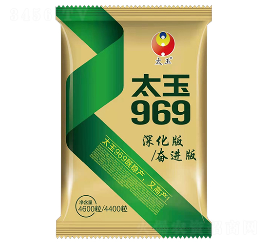 太玉969-玉米種子-懇豐農(nóng)業(yè)