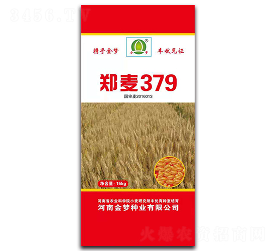 ����379-С���N��-�����N�I(y��)