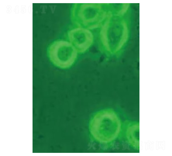 �ӝɼt�نΰ���-�Ѝu����