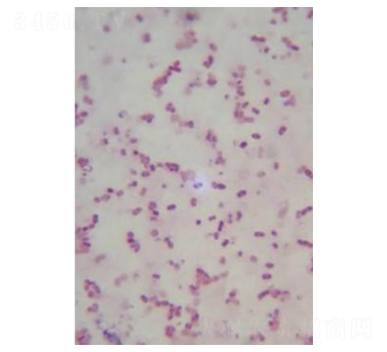 ����ѿ����U��-�Ѝu����