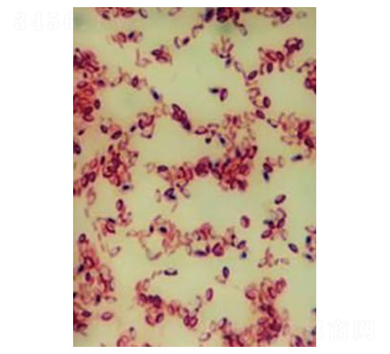 ��(c��)��ѿ�ߗU�������ԅ�������-�Ѝu����