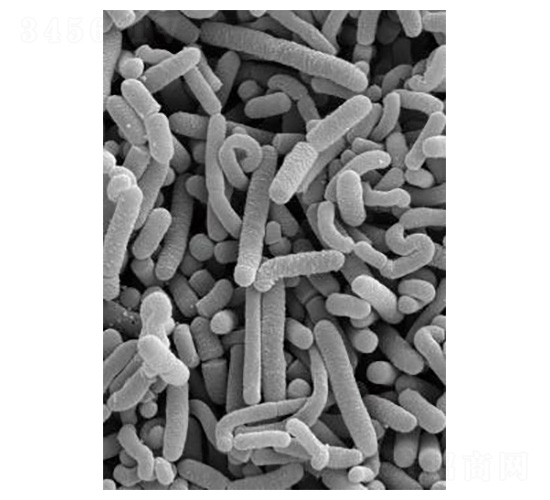 ������U�������ԅ�������-�Ѝu����